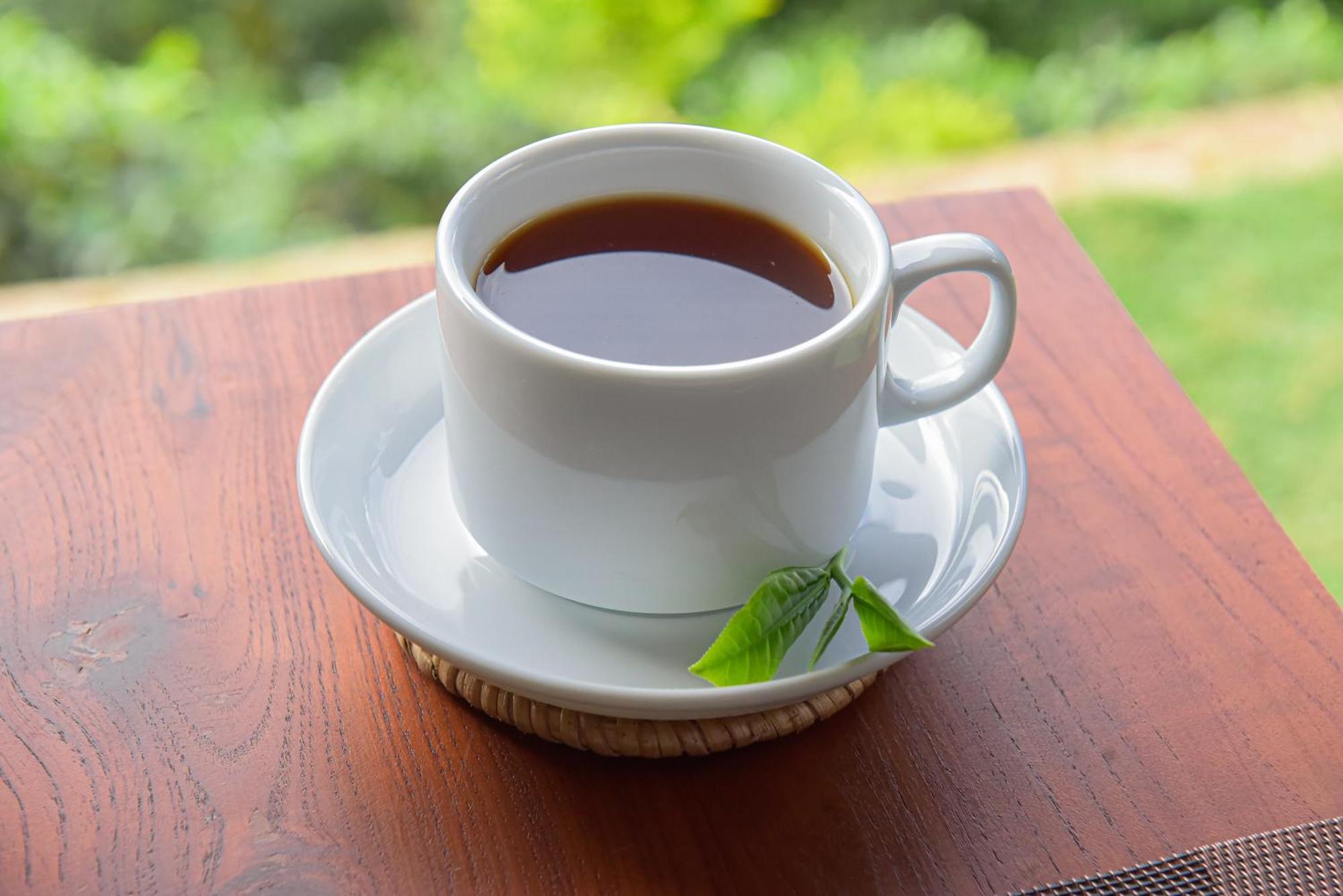 Tea Hills Ella酒店 外观 照片